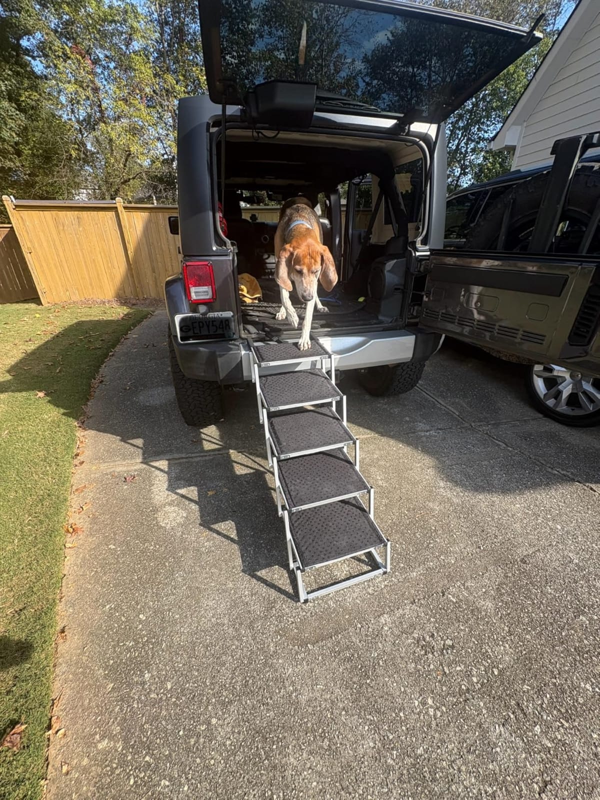Deergym Dog Stairs for Large Dogs - 5 Step Wide 16in High 34in Foldable Dog Ramp for Car Non-Slip Surface Support up to 230lbs - Suitable for SUV,Truck, Sofas, Bed customer photo 1