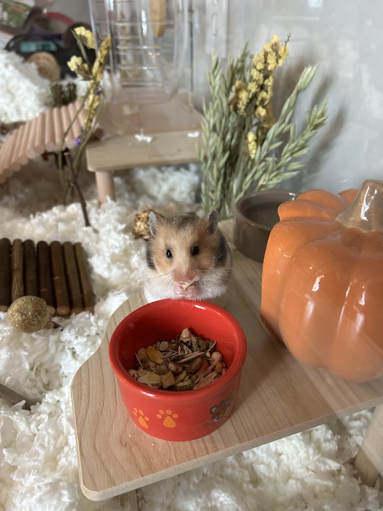 BUCATSTATE Hamster Cage 3.0, Large Hamster Enclosure (47in, White) customer photo 1