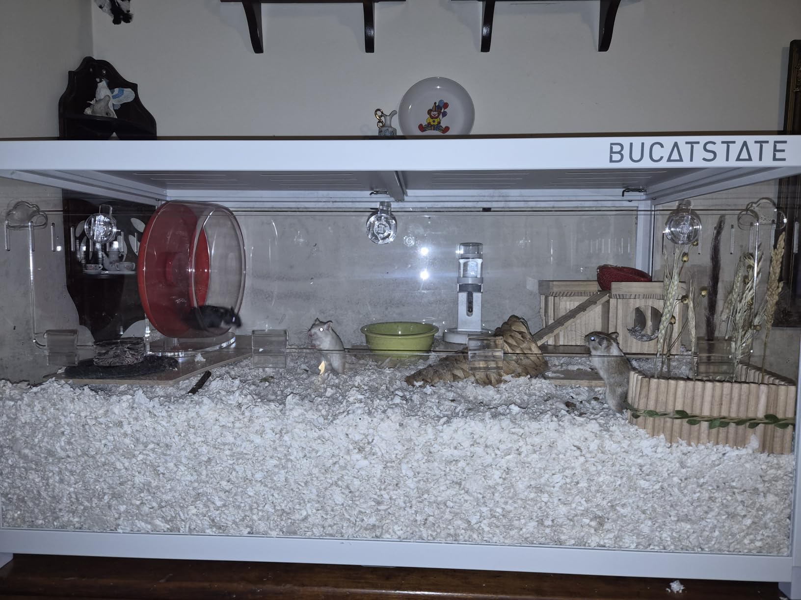 BUCATSTATE Hamster Cage 3.0, Large Hamster Enclosure (47in, White) customer photo 2
