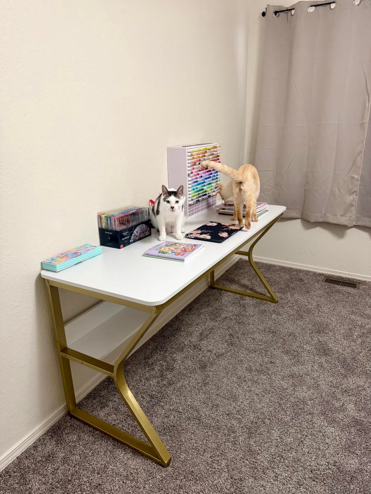 OSCHF 71-Inch Extra Long Desk with Storage Shelf, Warm White customer photo 2