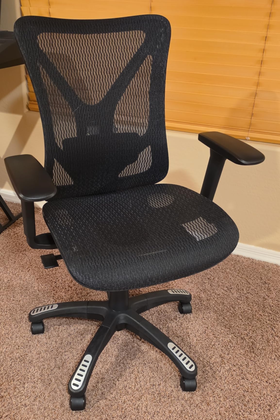 Ergonomic Office Chair, Mesh Computer Desk Chairs with BIFMA X5.1 Certified, Adjustable Lumbar Support, 3D Arm, Tilt Back, Wide Seat, Comfy Swivel Work Task Chair for Company and Home (Onyx Black) customer photo 1