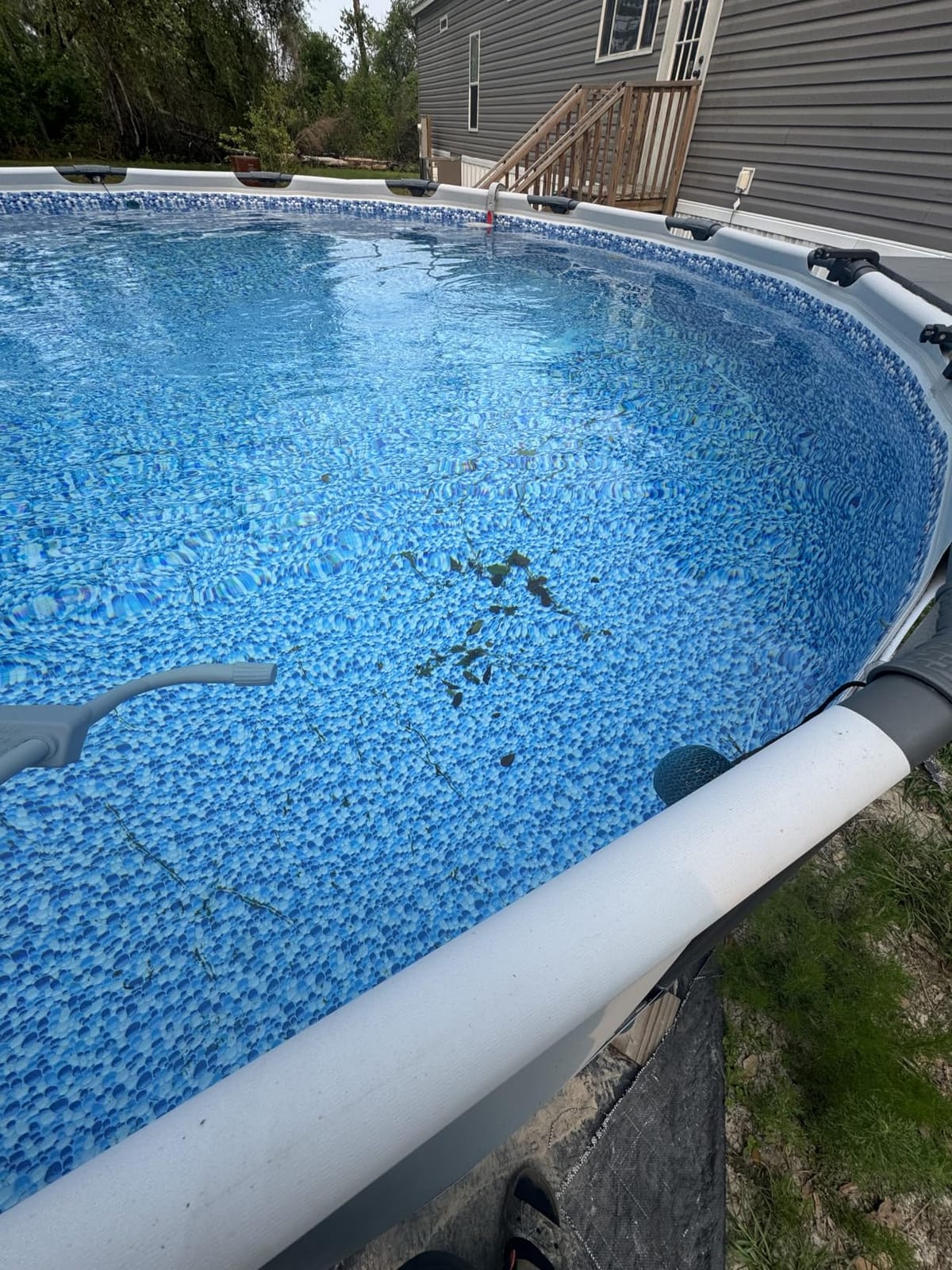 AIPER Seagull SE 2025 Cordless Robotic Pool Vacuum with 1200GPH Strong Suction, Lasts 90 Mins Runtime, LED Indicator,Pool Vacuum for Above-Ground Pool up to 40 Feet, Grey & Teal customer photo 2