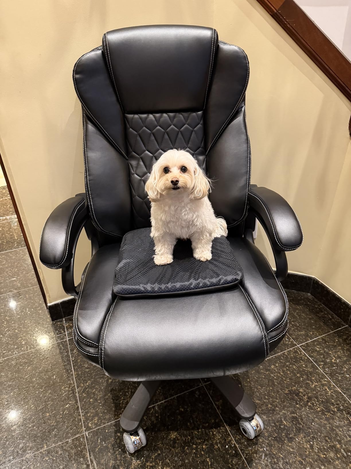 600lbs Big and Tall Office Chair with Pocket Spring Cushion, Ergonomic Heavy Duty Executive Office Desk Chair with Adjustable Lumbar Support, Large Comfy Computer Chair with Dual Rubber Wheel customer photo 1