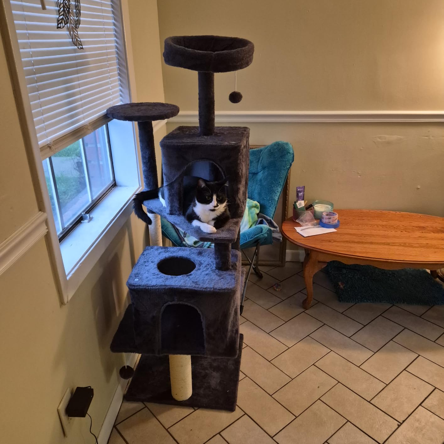 58.5inch Large Cat Tree Tower Condo for Indoor Cats, Soft Plush Multi-Level Climbing Tree Cat House with Cat Cave, Scratching Post, More Entrance/Exit, Sisal Rope, Grey Black customer photo 1