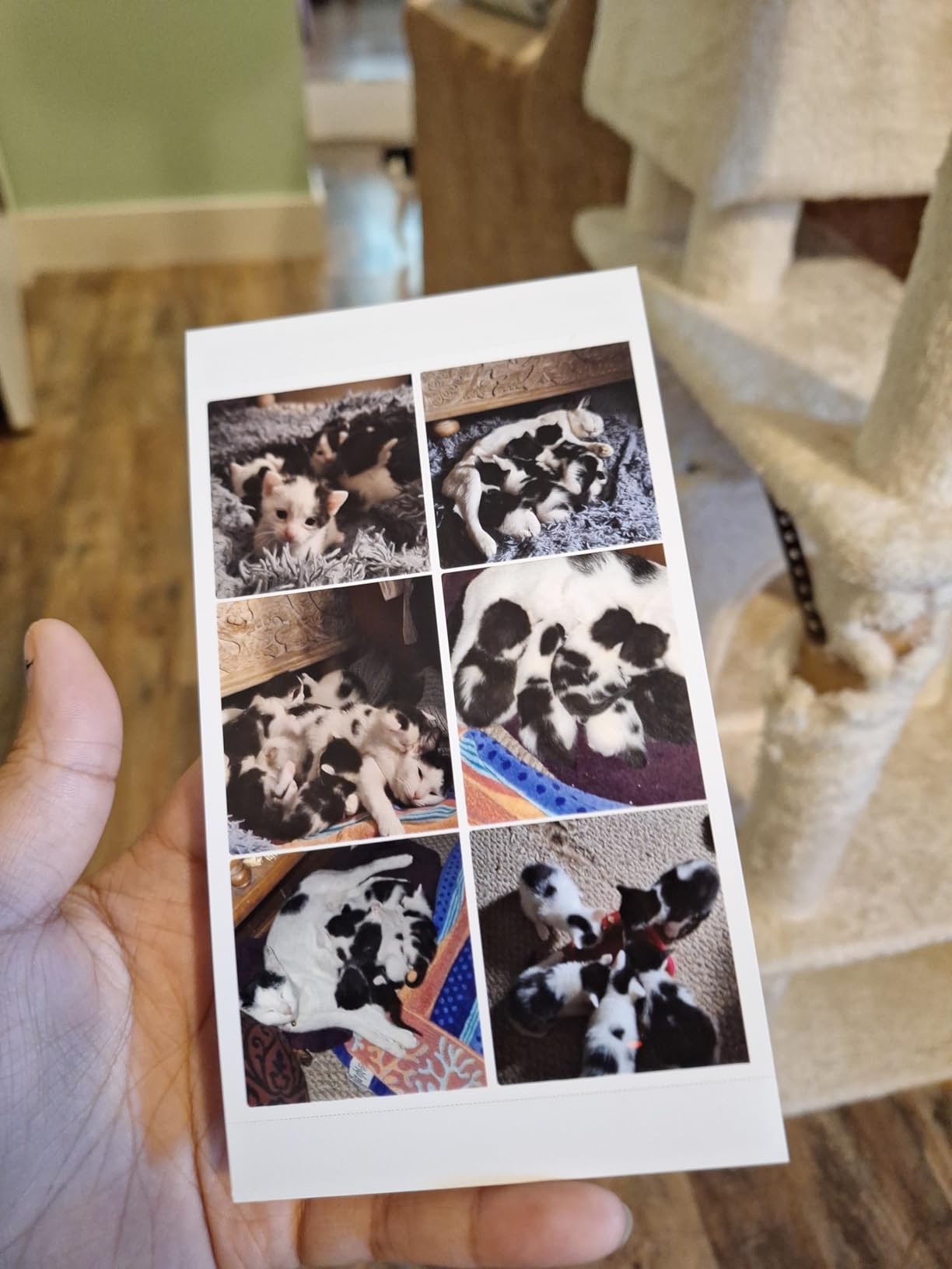 HPRT Photo Printer 4x6 with 108 Sheets Photo Paper & 2 Ribbons | Instant Picture Printer for iPhone & Android, Bluetooth, Wi-Fi (built-in hotspot), Dye Sublimation, Portable, Home Use customer photo 2