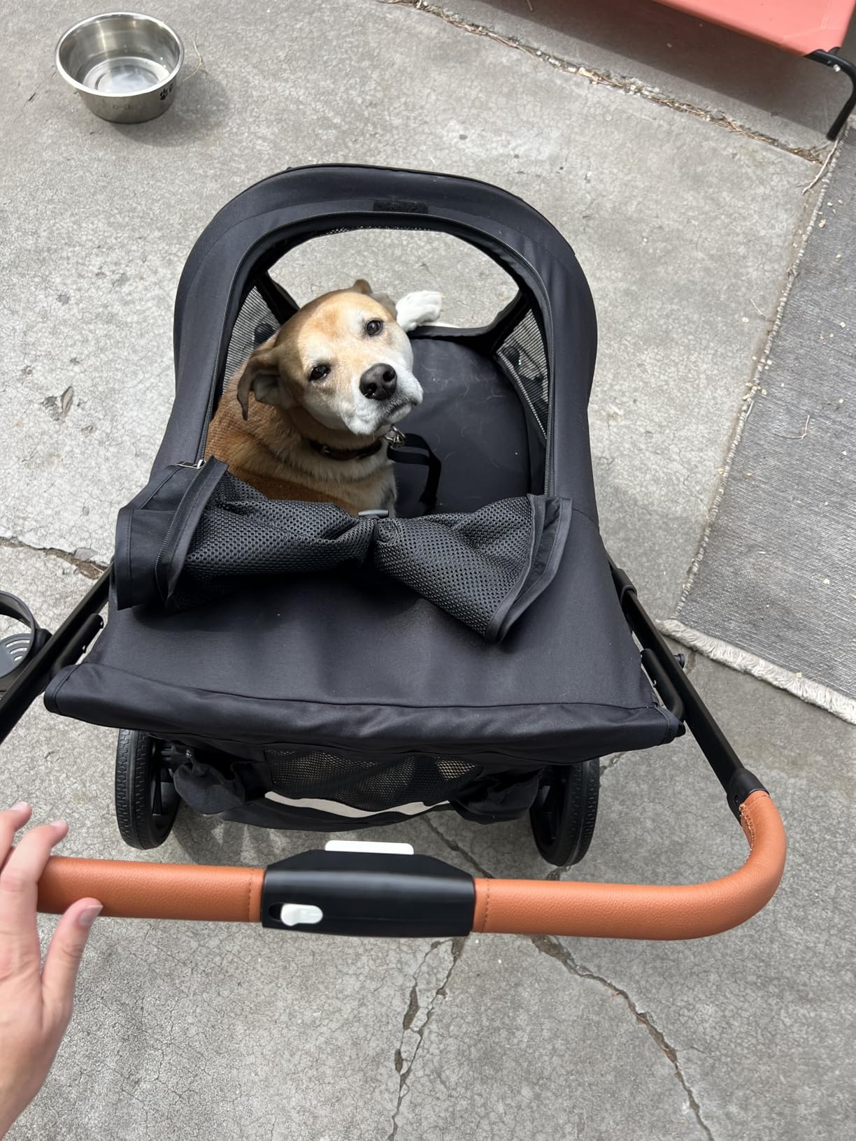 Dog Stroller for Large Dogs One-Click Folding 4 Wheel Foldable Dog Stroller for 2 Dogs with Storage Pocket Suitable for Pets Up to 80LBS (Black, Large) customer photo 1