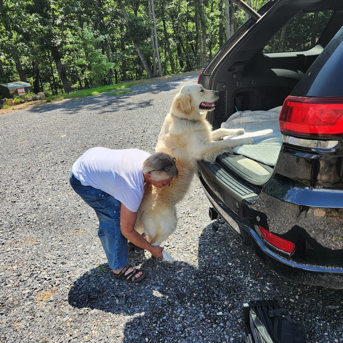 Dog Ramp for Car Truck and SUV Dog Stairs for Large Dogs Folding Pet Stairs with Non-Slip Rug Surface Supports Up to 250 lbs (5 Steps) customer photo 1