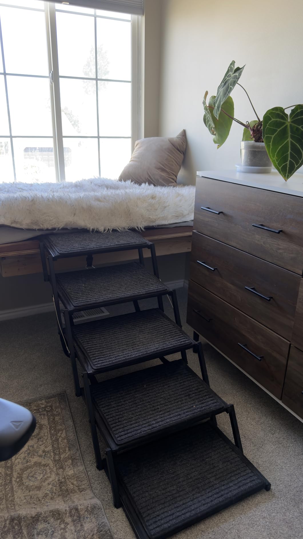 Dog Ramp for Car Truck and SUV Dog Stairs for Large Dogs Folding Pet Stairs with Non-Slip Rug Surface Supports Up to 250 lbs (5 Steps) customer photo 2