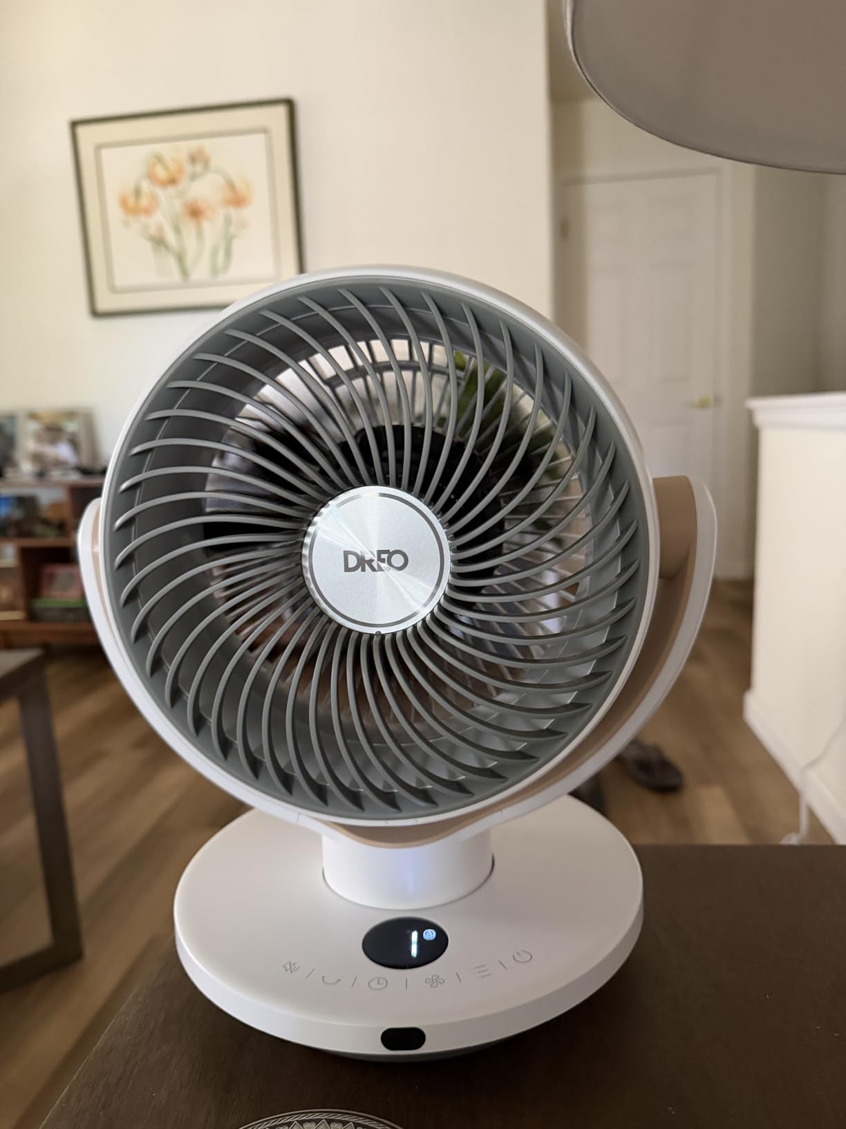 DREO Fan for Bedroom, Desk Air Circulator Fans with Remote, 11 Inch Table Fan for Whole Room, 65ft Powerful Airflow, 120° Vertical Manual and 90° Oscillating, 4 Speeds, 8H Timer, 25dB Quiet, Home customer photo 2