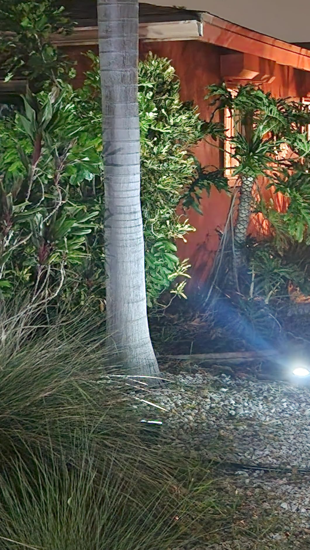 JEJOT Solar Spot Lights Outdoor Waterproof, Solar Spotlights, 4 Pack customer photo 2