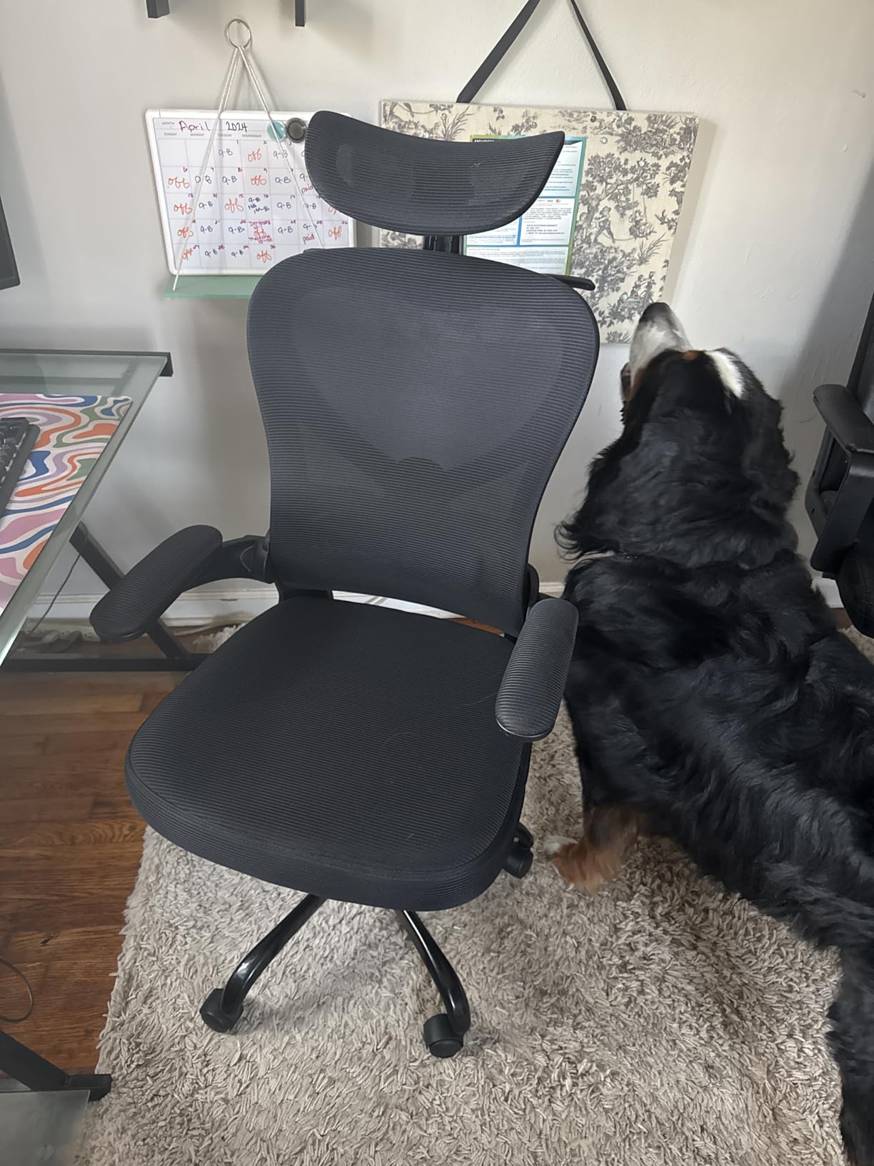Ergonomic Office Chair, Mesh Home Office Desk Chairs with 3D Headrest | Freepub Computer Gaming Chair with Adjustable High Back Lumbar Support, Executive Swivel chairs, 350LBS Capacity, Black customer photo 1
