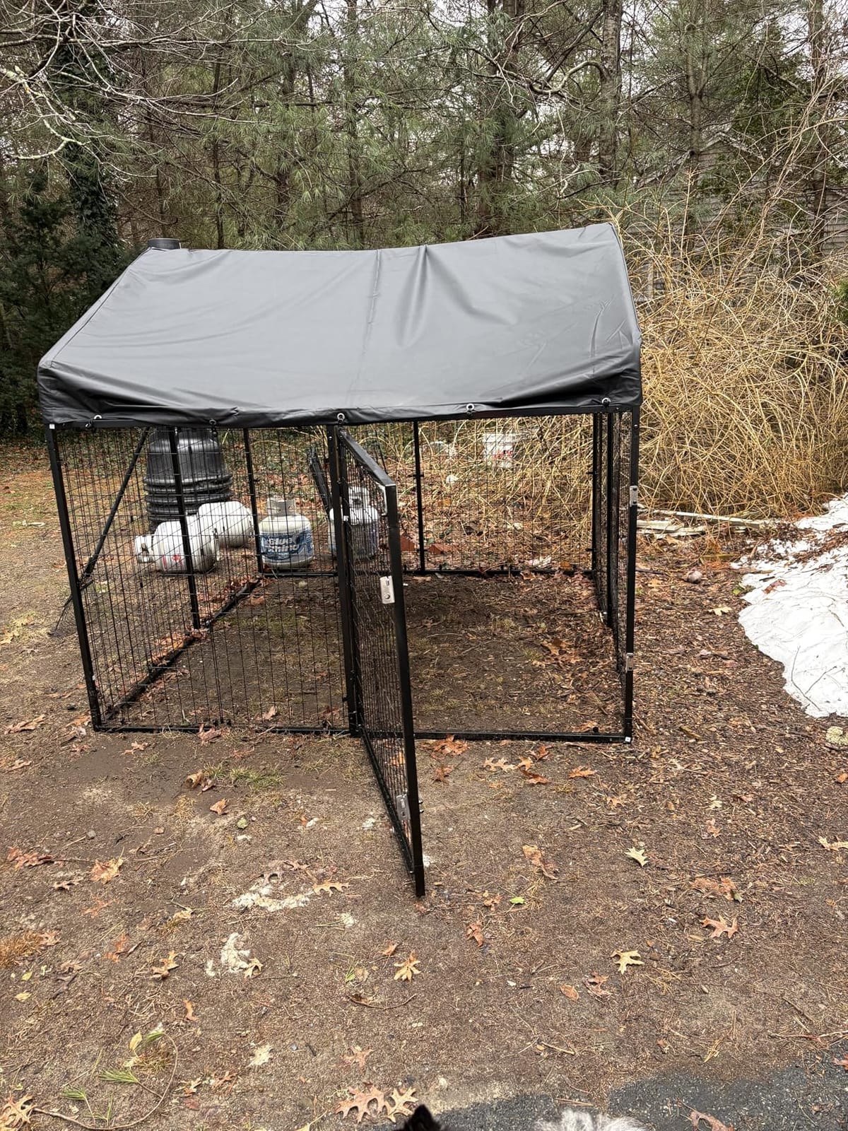 Petony Large Outdoor Dog Enclosure,Heavy Duty Dog Cage with Roof,Galvanized Steel Dog Kennel Fence with Double Safety Locks(79”W x 79”D) customer photo 2