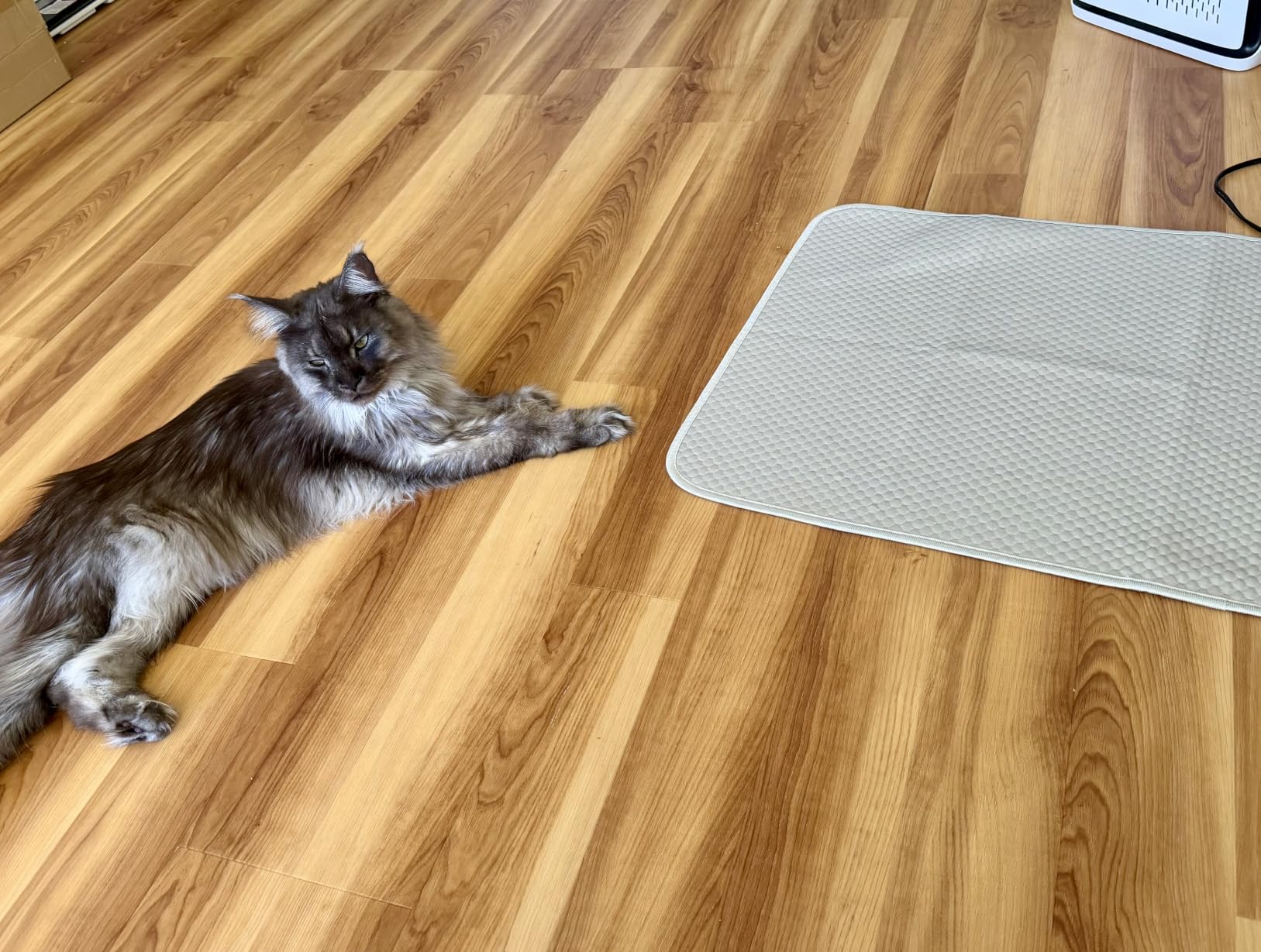 Buvlnee Summer Dog Cooling Mat Washable Ice Silk Self Cool Pad for Small Medium Large Dogs and Cats, Pet Sleeping Pad for Crate, Bed, Indoor & Outdoor Floor, Car Seats customer photo 1