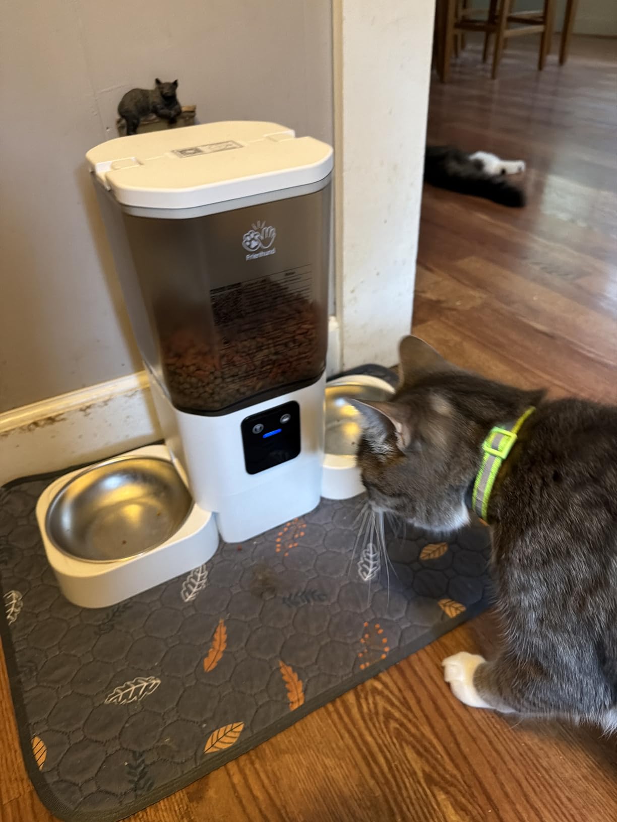 Frienhund Timed Automatic Cat Feeder 2 Cats with Slow Feed: Dual Automatic Dog Feeder with Information Visualization, Programmable Auto Cat Food Dispenser for Multiple Pets,Detachable for Clean-29 Cup customer photo 1