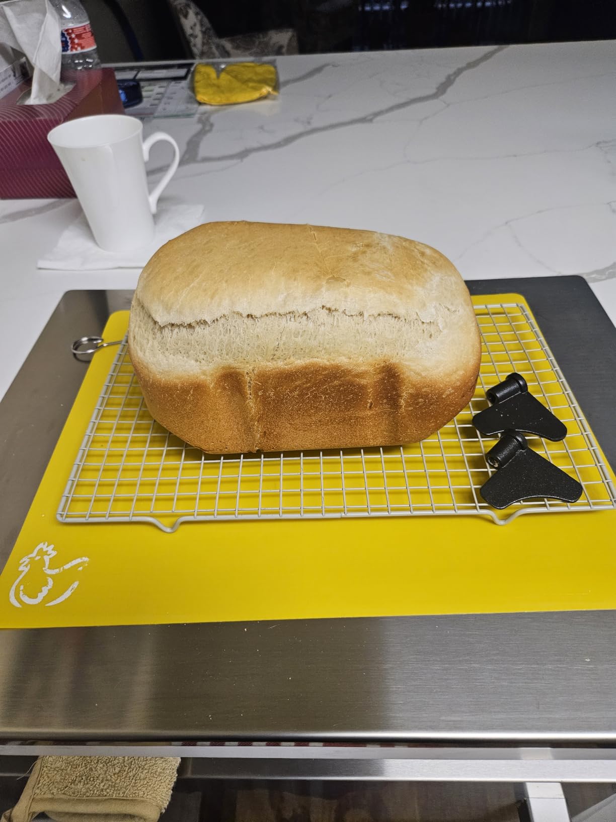 VEVOR Bread Maker, Dough Machine 15 Menus in 1, Non-Stick Ceramic Pan Automatic Breadmaker with Non-Gluten Setting, Whole Wheat Bread Making, Digital, Programmable, 3 Loaf Sizes, 3 Crust Colors, White customer photo 1
