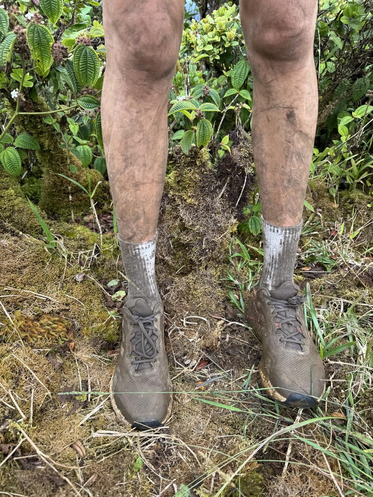adidas Women's Terrex Soulstride Rain.rdy Trail Running Shoes customer photo 1