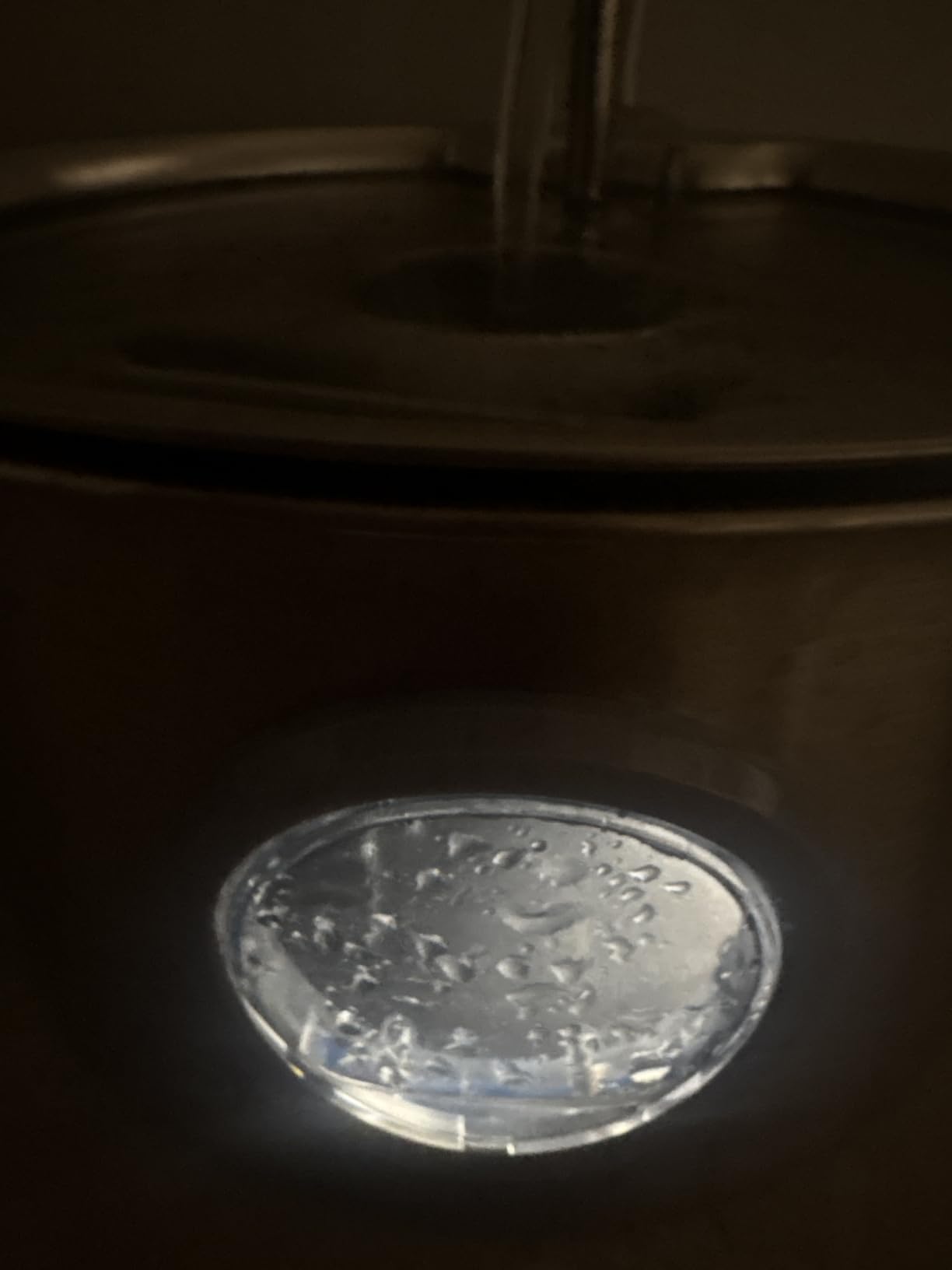 Cat Water Fountain Stainless Steel: Cat Fountain for Drinking - 88oz/2.6L customer photo 2