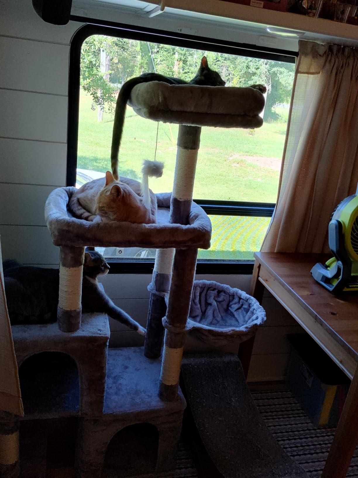 Globlazer 52in Cat Tree Tower for Indoor Cats, 2 Condos, S52, Light Grey customer photo 1