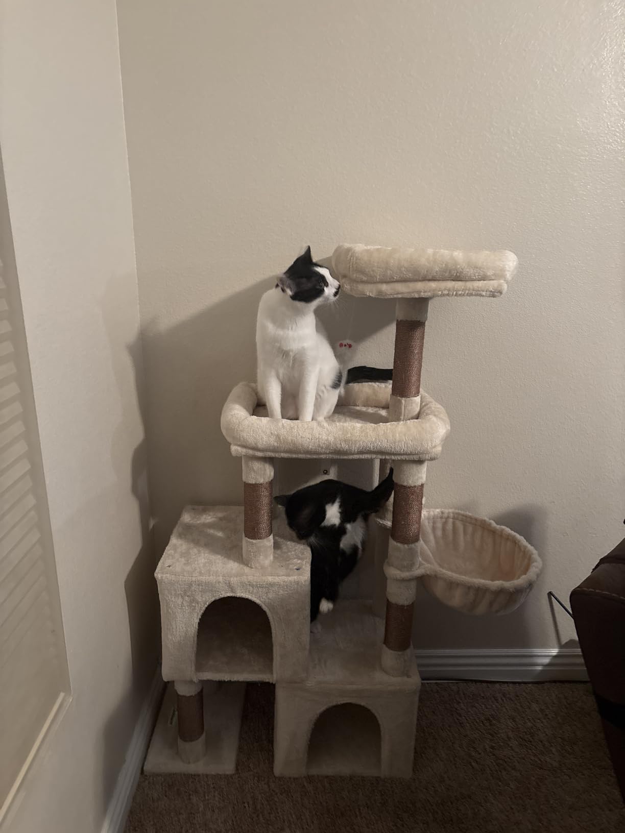 Globlazer 52in Cat Tree Tower for Indoor Cats, 2 Condos, S52, Light Grey customer photo 2
