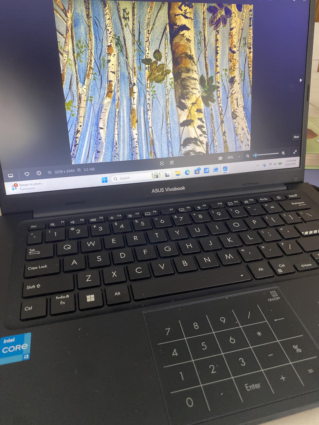 ASUS Vivobook Laptop 2025 Ultra Portable Business Computer, 14