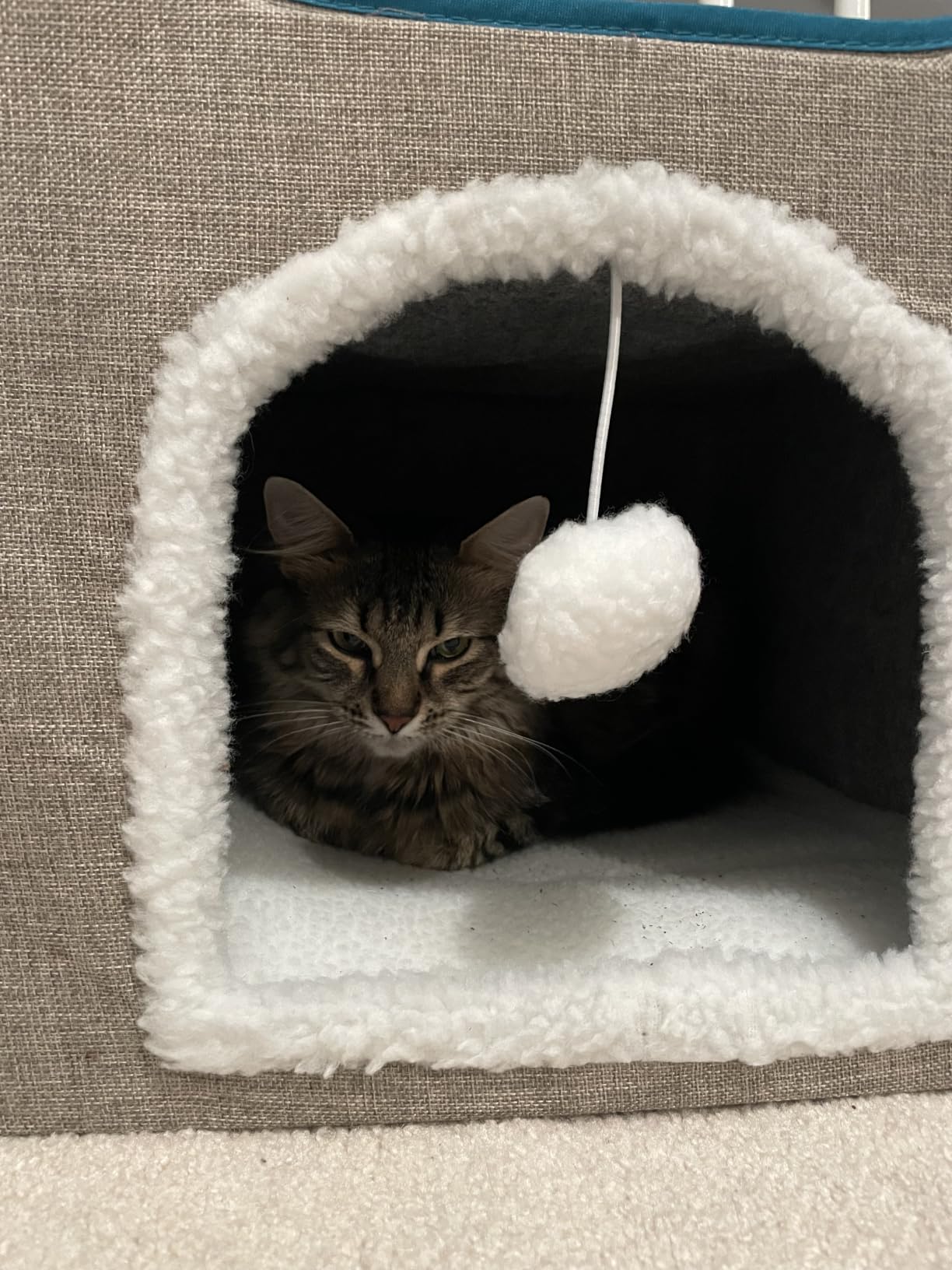 Bedsure 3-Level Cat Tree for Indoor Cats with Scratching Post,Grey customer photo 2