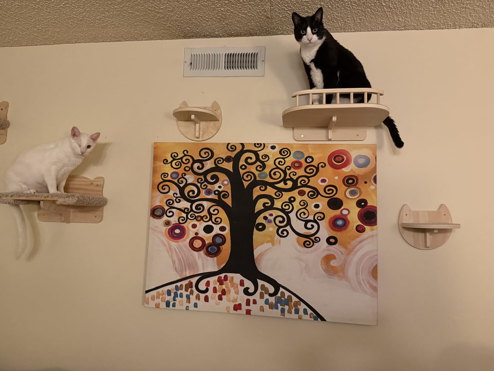 Cat Wall Shelves, Modern Cat Wall Furniture for Indoor Cats - Black customer photo 2