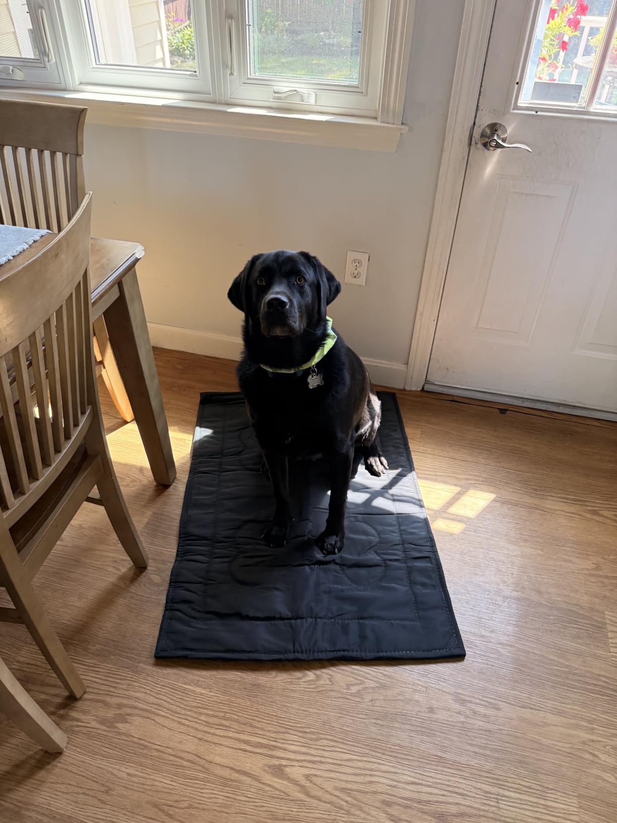 Chew Proof Indestructible Dog Crate Pad,Large (28