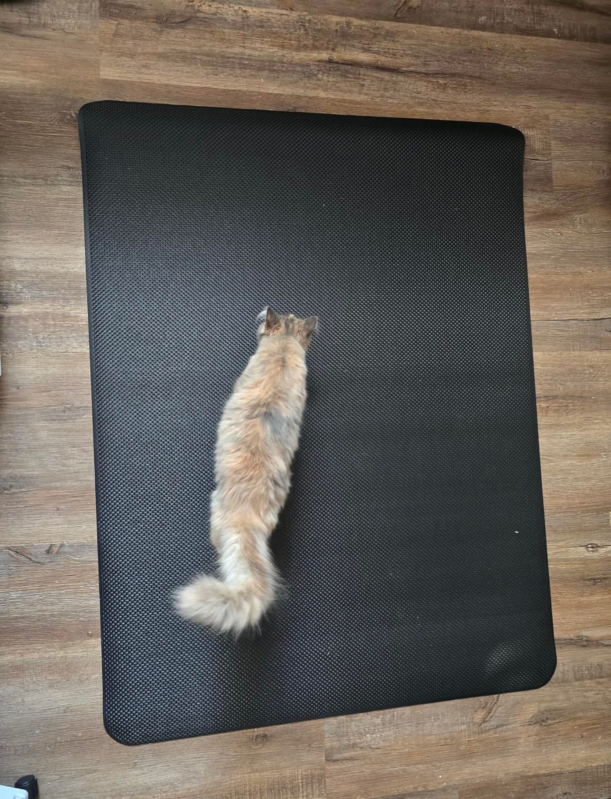 Sycoodeal Chair Mat, Office Chair Mat for Hardwood and Tile Floor, Heavy Duty Floor Protector for Rolling Chairs, Non-Slip, Computer Mat for Home Office 36