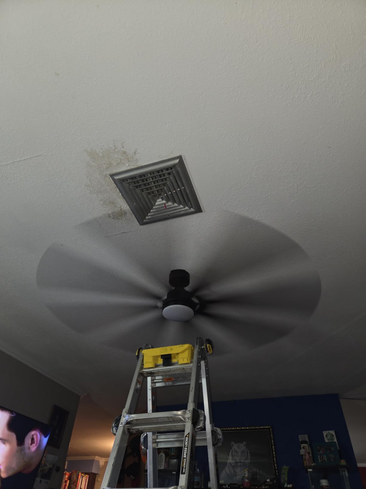 Fanbulous 72 Inch Ceiling Fans with Lights DC Motor, Remote & APP Control customer photo 2