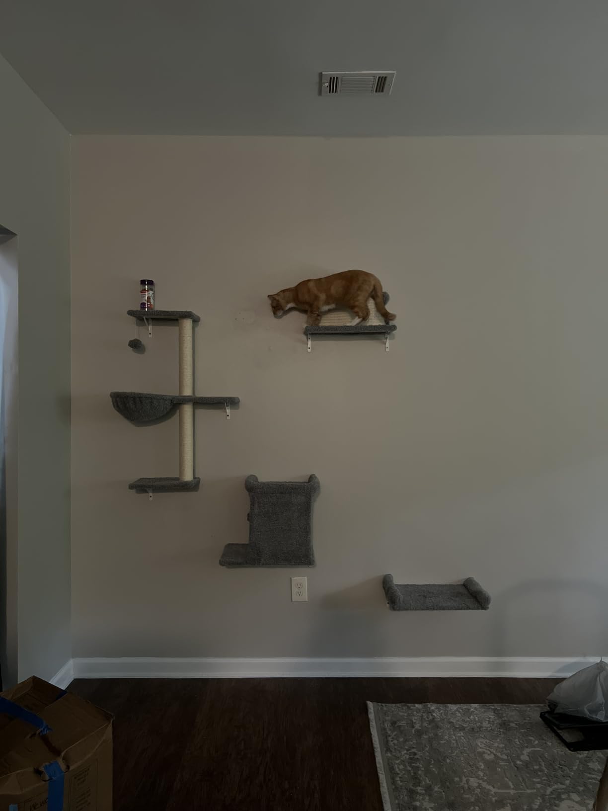 5-in-1 Cat Wall Shelves, Solid Wood Cat Wall Furniture Set for Indoor Cats customer photo 1