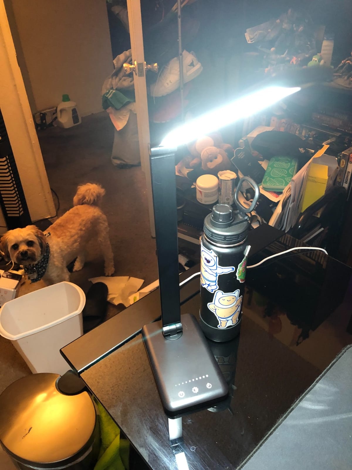 MOICO LED Desk Lamp with Clamp for Office Home- customer photo 2
