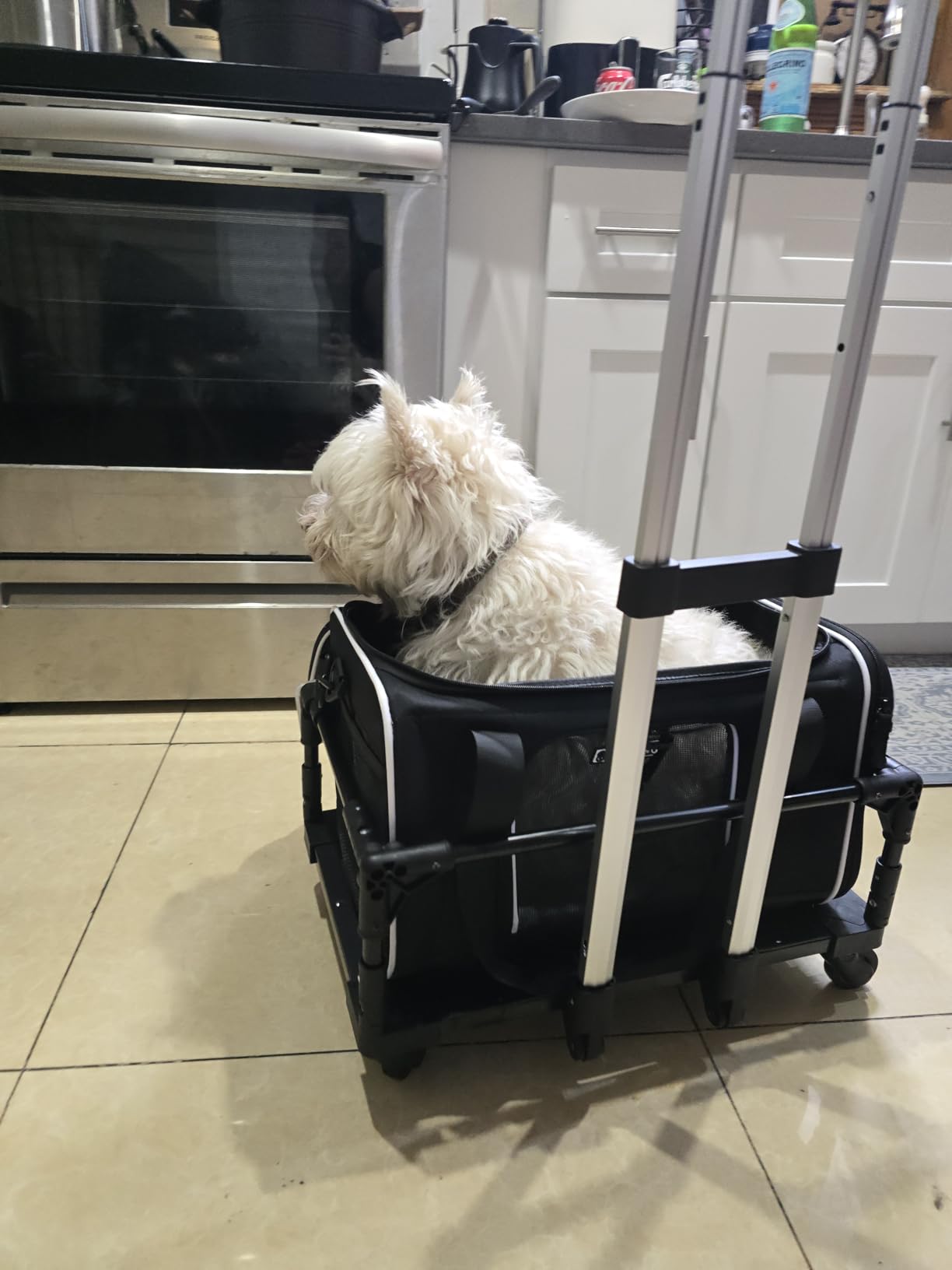 Petskd Top-Expandable Small Pet Carrier with Wheels Airline Approved customer photo 1
