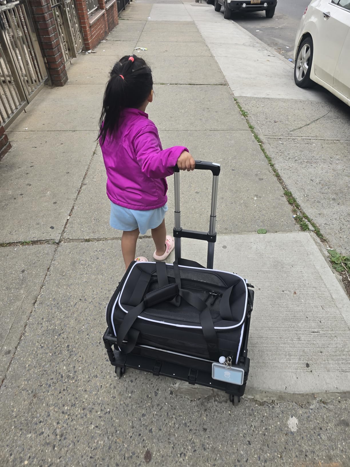Petskd Top-Expandable Small Pet Carrier with Wheels Airline Approved customer photo 2