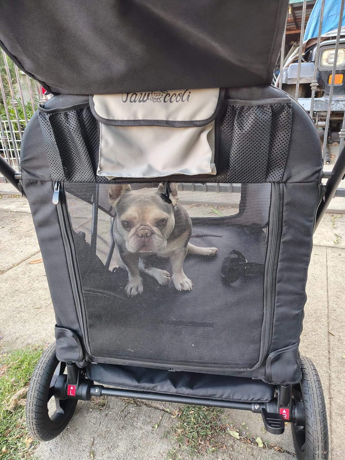 Dog Stroller for Large & Medium Dogs, 4 Wheels Pet Stroller for Large Dogs up to 120lbs, Extra Large Dog Stroller with Foldable Design, Sun Shades, Storage Pocket, Breathable Mesh customer photo 2