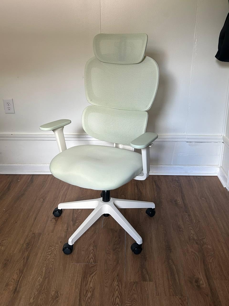 WELAX S3 Ergonomic Mesh Office Chair with Adjustable Headrest, Lumbar Support Reclining Girls Desk Chair Comfy with Wheels, High Back Home Computer Chairs for Gamer or Work, Green customer photo 1