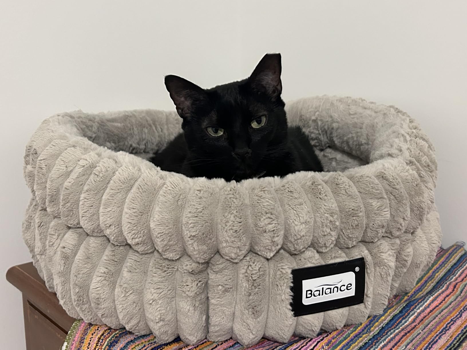 BALANCE Donut Dog Bed, 36 Inches Round Dog Bed Large Size Dogs Washable, Orthopedic Calming Dogs Beds for Kitten, Fluffy Plush Faux Fur Pet Bed with Anti-Slip Bottom customer photo 2