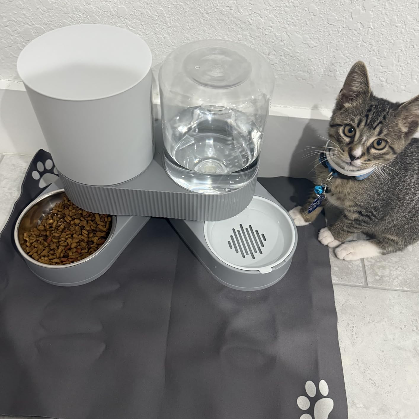 6L Automatic Cat Feeder for 2 Cats, APP Control, Precise Portion Control customer photo 2