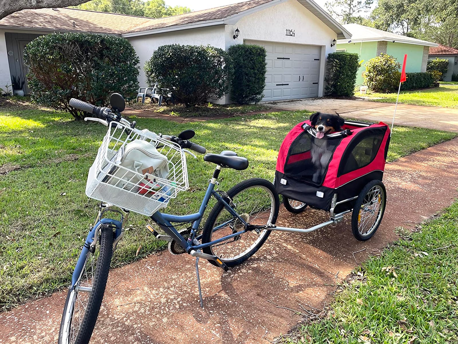 Dog Bike Trailer - HAPPAWS Dog Trailer for Bicycle, Cargo Cycle Trailers Wagon Cart Pet Bike Carrier w/ 3 Doors, Galvanized Steel Wheels, Safety Flag, Easy to Connect&Disconnect, Collapsible to Store customer photo 2