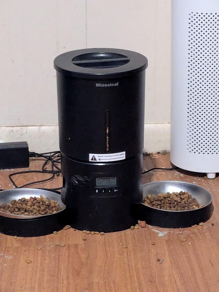 Automatic Cat Feeder 2 Cats, 4.2L Dry Food Auto Dispenser with Double Bowls,Dual Power Supply,Programmable Portion Control,10s Voice Recorde (White) customer photo 1