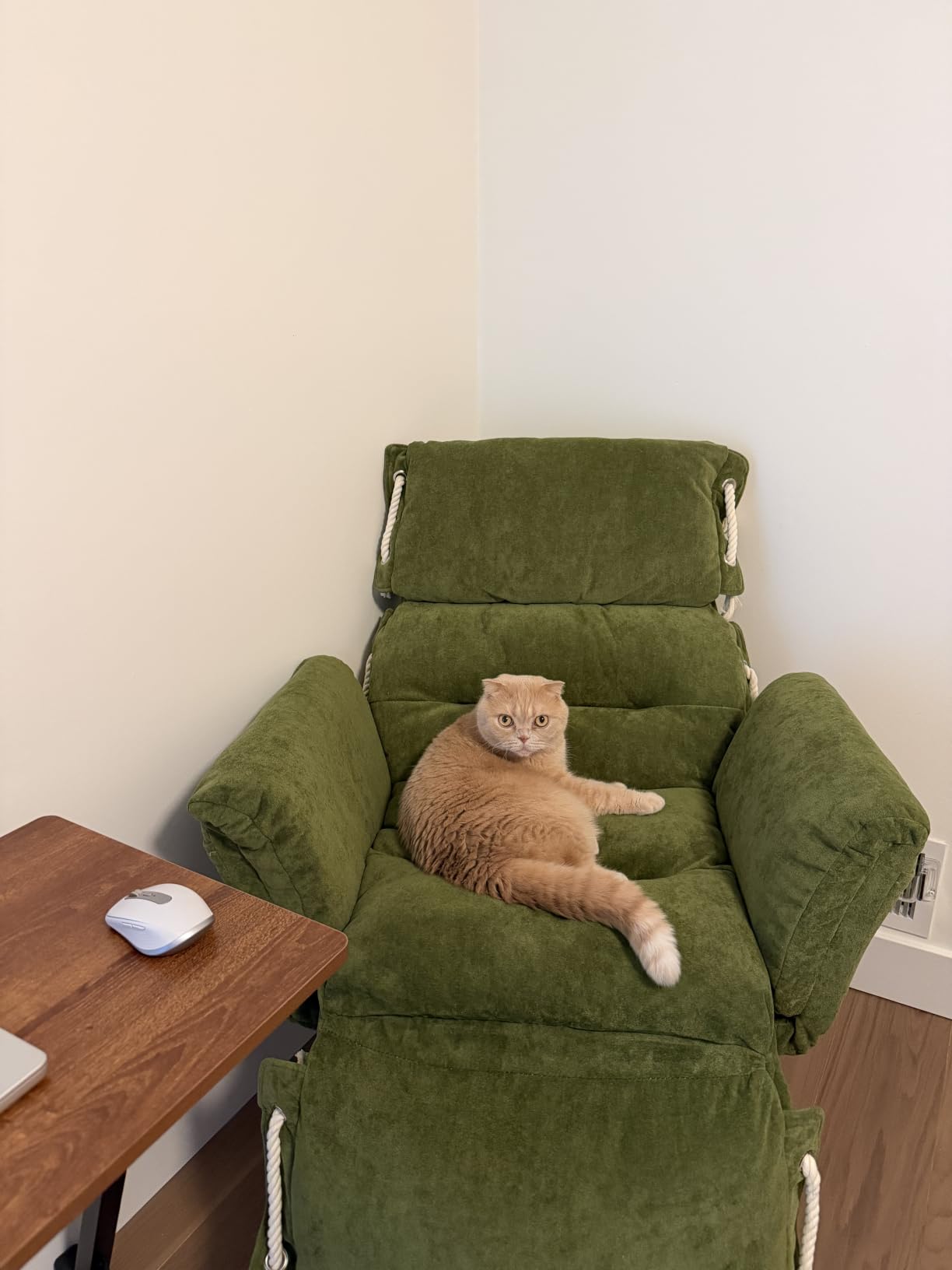 KEEZY 180° Lay Flat Reclining Rotating Office Chair with Adjustable Footrest, Infinite Lock Computer Desk Chair, Thick Tufted Plush Cloud Velvet Cushion for Home & Office, Green customer photo 1