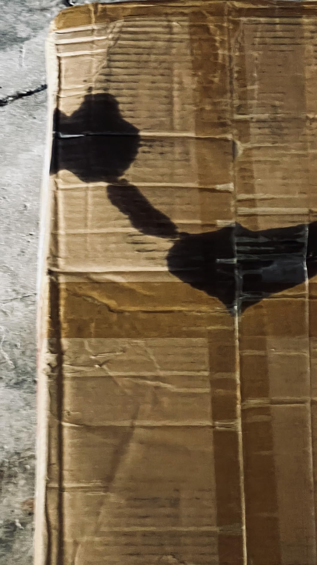 3 Gallon Gray Epoxy Floor Kit, 100% Solids, Self-Leveling customer photo 1