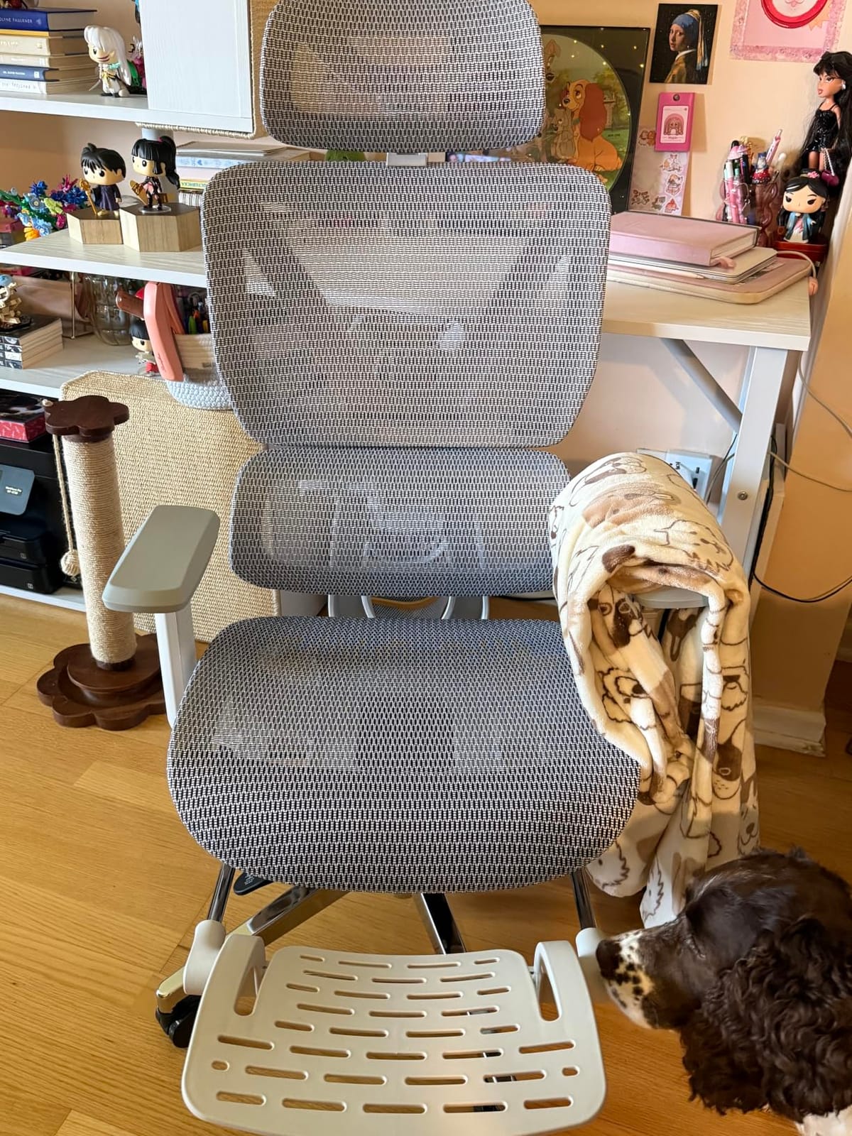 ATORPOK Ergonomic Reclining Office Chair with Footrest, Black | 135° Recline, Adjustable Seat Depth & Height, Headrest and Lumbar Support, Retractable Footrest, Mesh Home Desk Chair customer photo 2