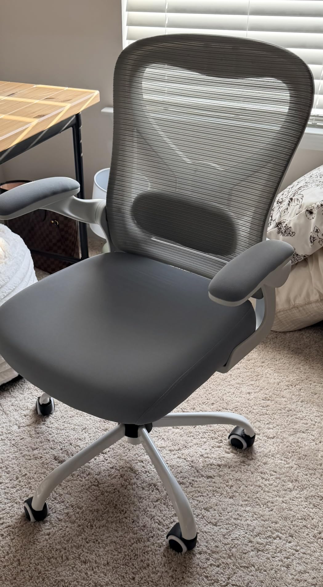 Ergonomic Home Office Chair, 4-Way Lumbar, Thick Cushion, 330LBS (Gray/Finish Silver) customer photo 1