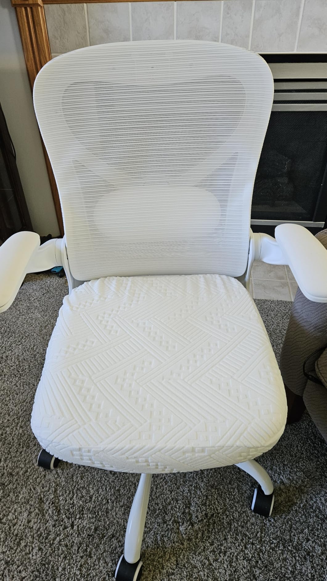 Ergonomic Home Office Chair, 4-Way Lumbar, Thick Cushion, 330LBS (Gray/Finish Silver) customer photo 2