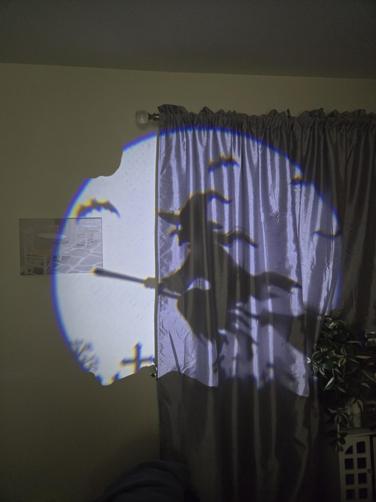 3 in 1 Halloween Projector Lights, Dynamic Halloween Projector Outdoor customer photo 2