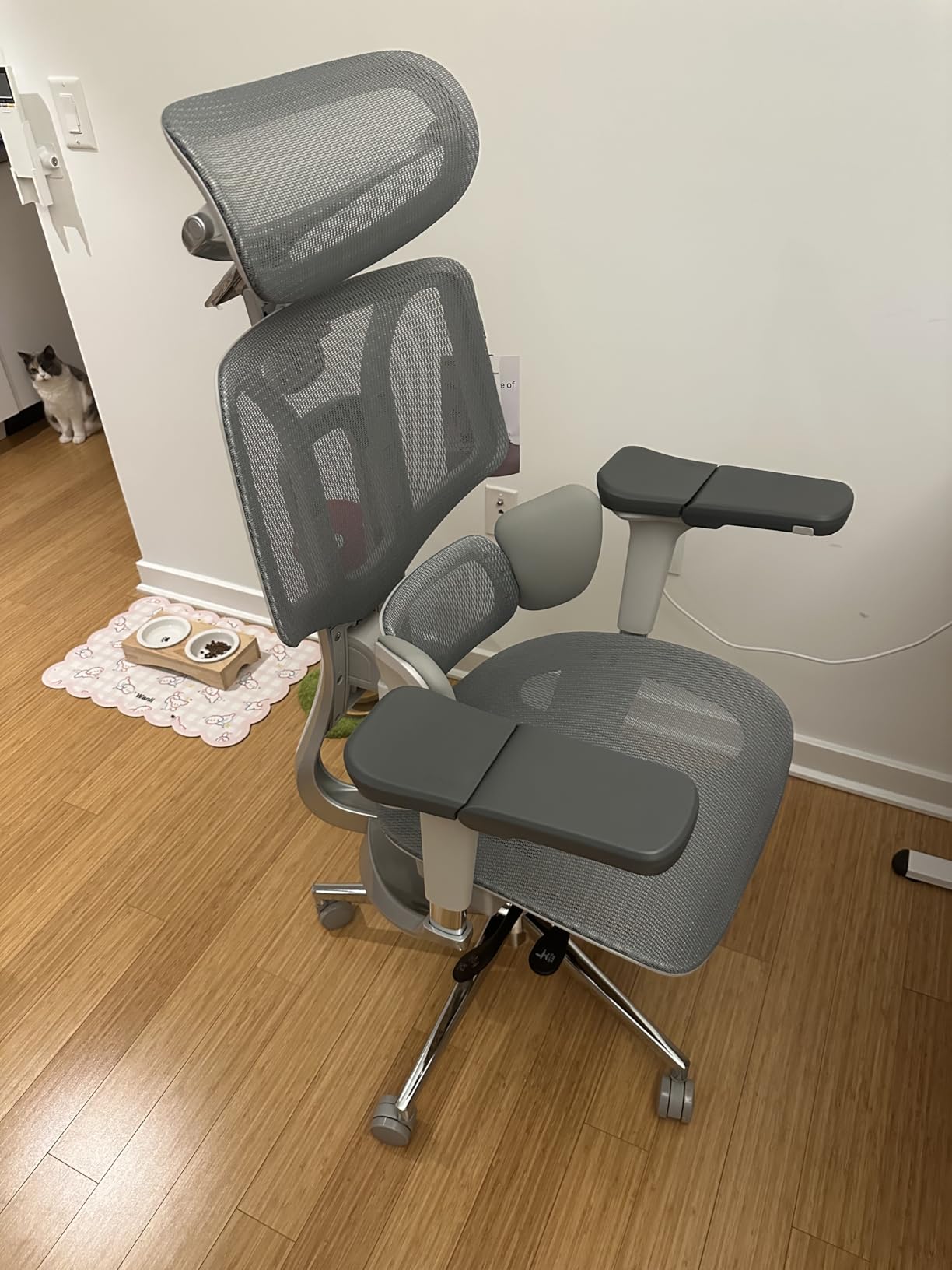 Hbada E3 Air Ergonomic Office Chair - with 3-Zone Dynamic Lumbar Support, 3D Adjustable Headrest, 4D Adjustable Armrests, Swivel, Pink customer photo 1