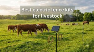 Best electric fence kits for livestock