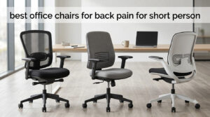 best office chairs for back pain for short person