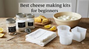 Best cheese making kits for beginners