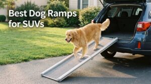 Best Dog Ramps for SUVs